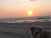 20091018 Summer Fall 005